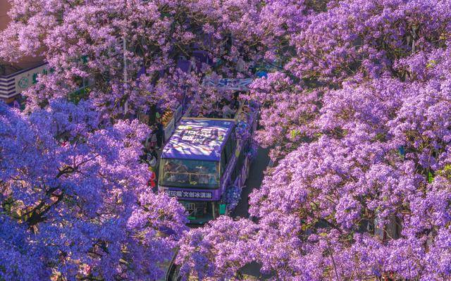 优服务繁荣文旅市场不朽情缘首页以更(图10)