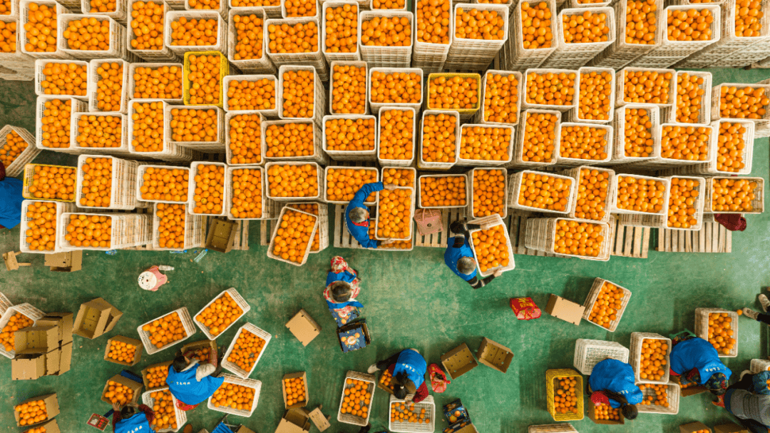 会“呼吸”更会“生金”不朽情缘版江西这片乡野